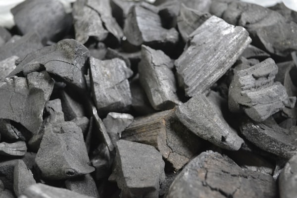 Coconut shell charcoal