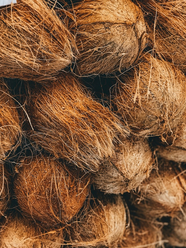 Coconut coir fiber