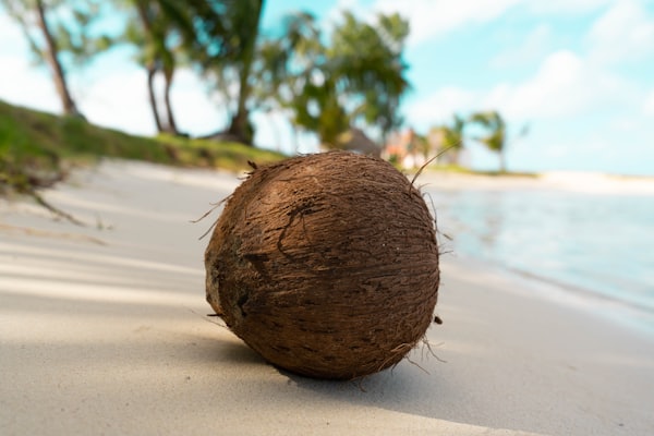Whole coconut